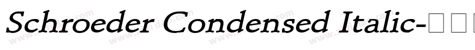 Schroeder Condensed Italic字体转换